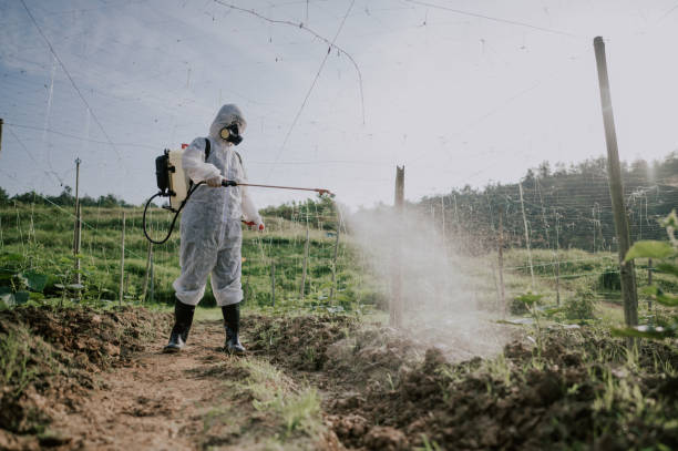 Best Mosquito Control Services  in Evergreen Park, IL