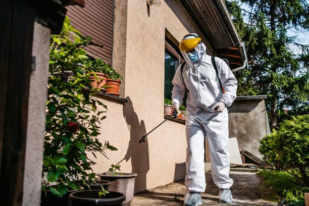 Flea Control Services in Evergreen Park, IL