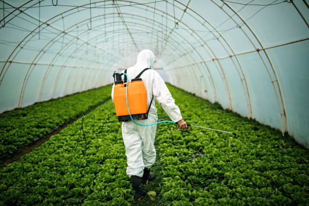 Best Pest Control for Businesses  in Evergreen Park, IL