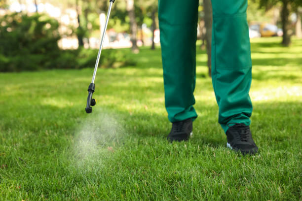 Best Wasp Removal Services  in Evergreen Park, IL