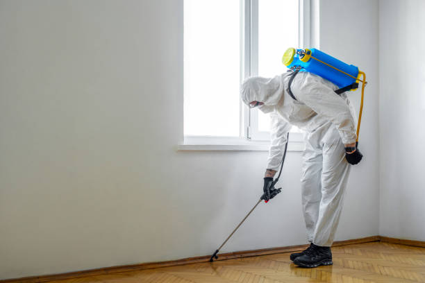 Pest Control for Restaurants in Evergreen Park, IL