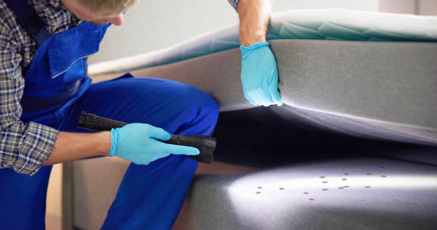Best Best Pest Control Near Me  in Evergreen Park, IL