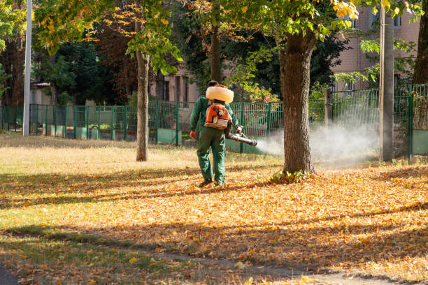 Best Wildlife Control Services  in Evergreen Park, IL