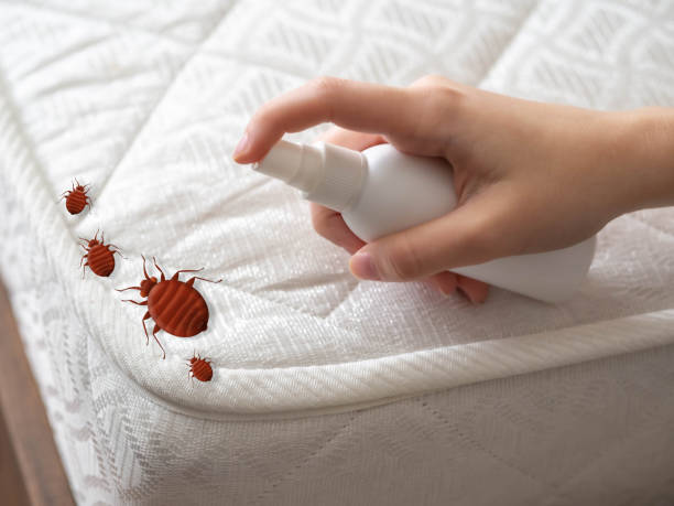 Best Pest Control Near Me  in Evergreen Park, IL
