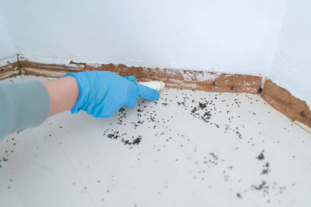 Best Commercial Pest Control Services  in Evergreen Park, IL